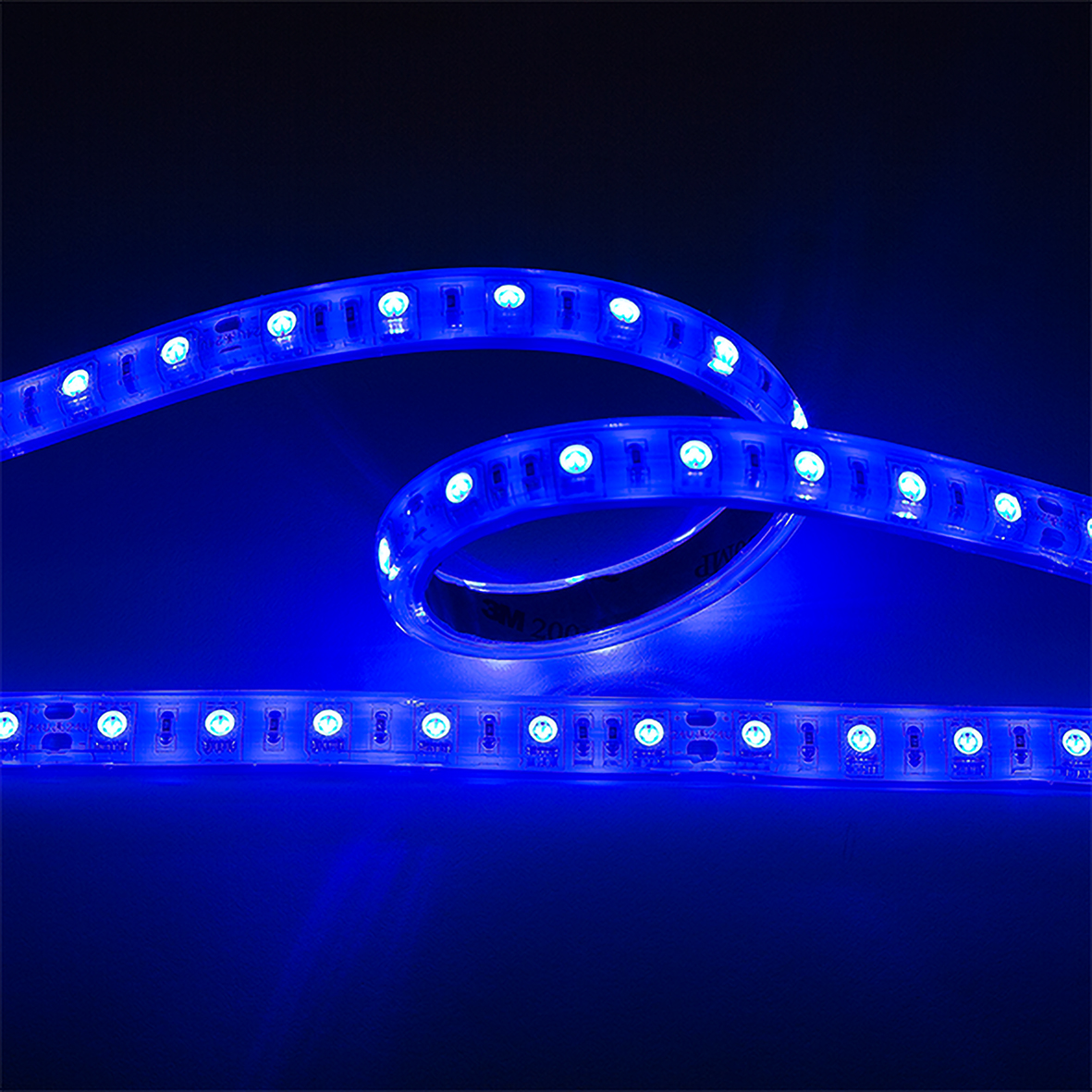 5011240270_Flexible LED SMD 5050 24V IP67 blau